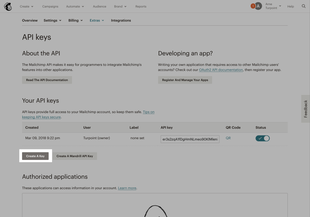 Screenshot van de API pagina in Mailchimp