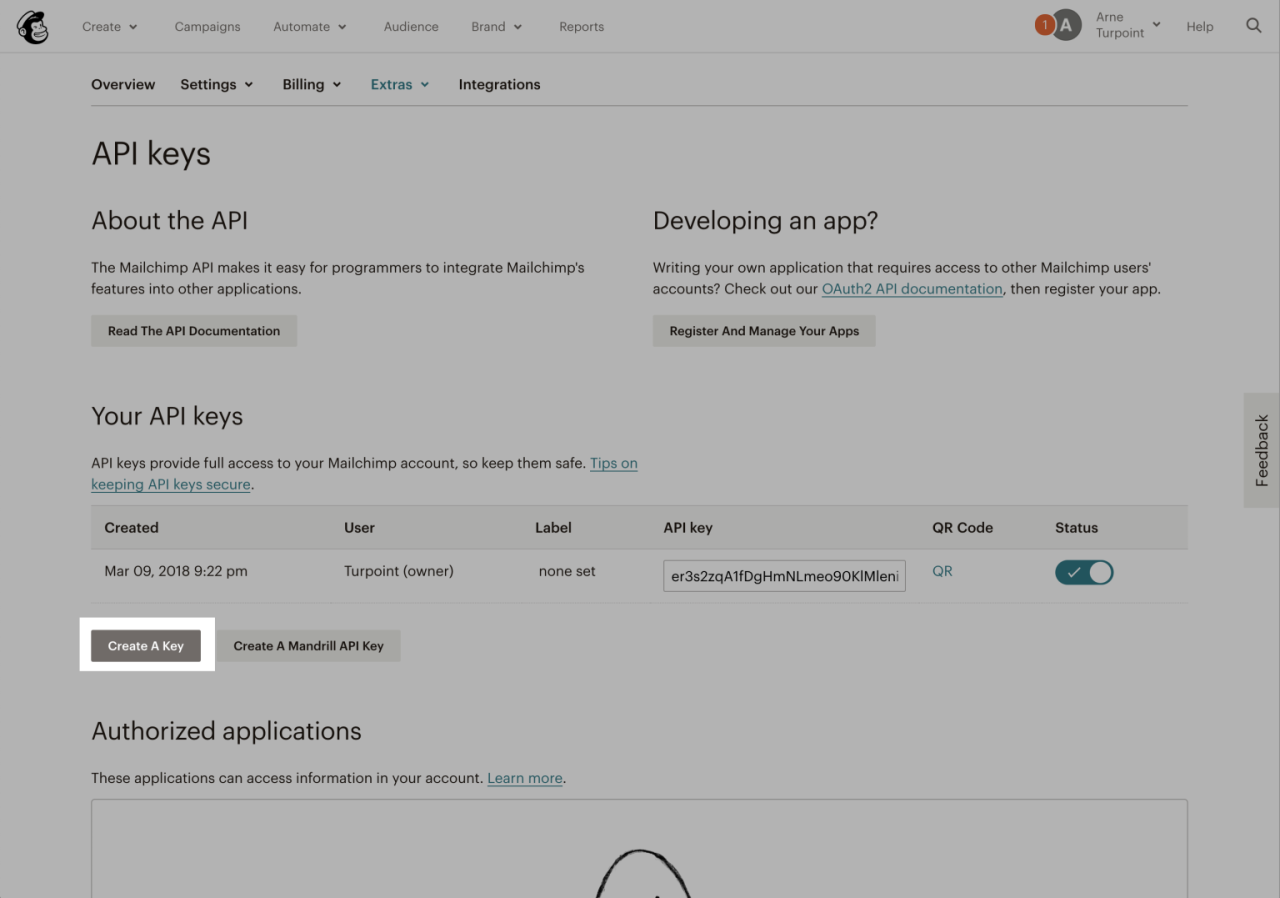 Screenshot van de API pagina in Mailchimp.